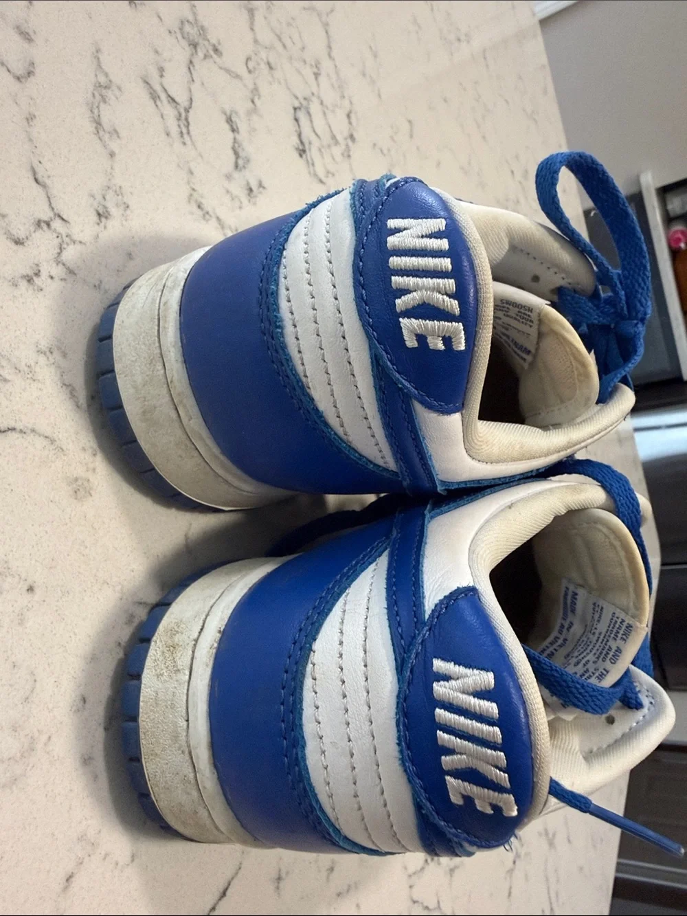 Nike Blue and White Low-Top Sneakers